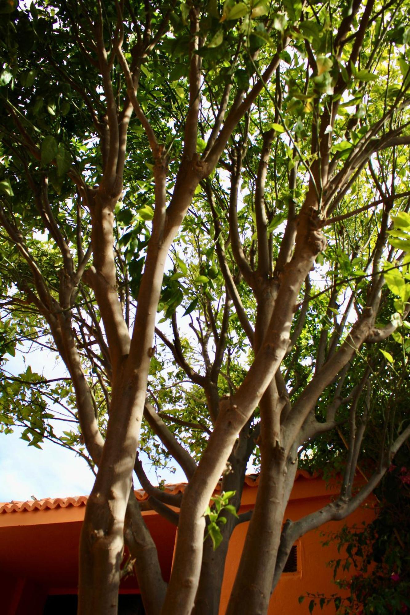 Seaside 2 Bedrooms - Imi Ouaddar Agadir